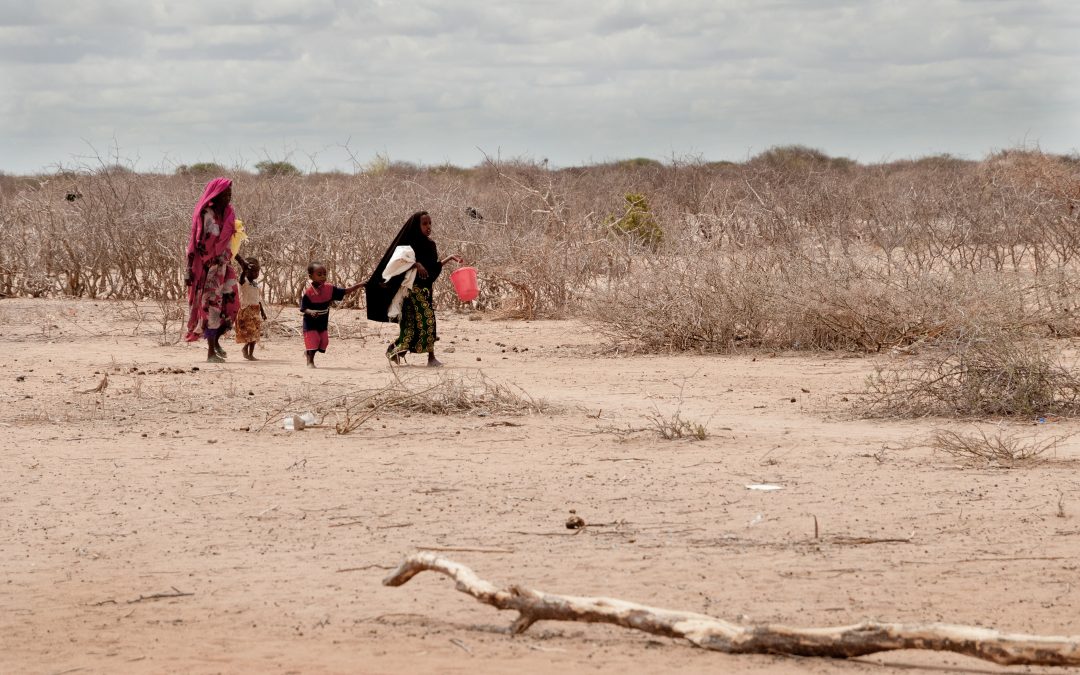 Loss and Damage financing can help African communities with drought
